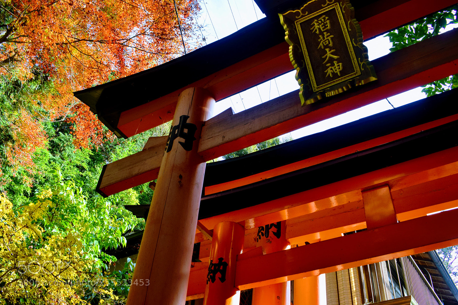 Nikon D3300 sample photo. Dsc photography