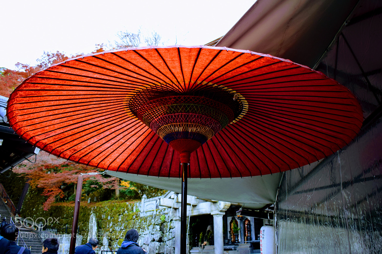 Nikon D3300 sample photo. Dsc photography