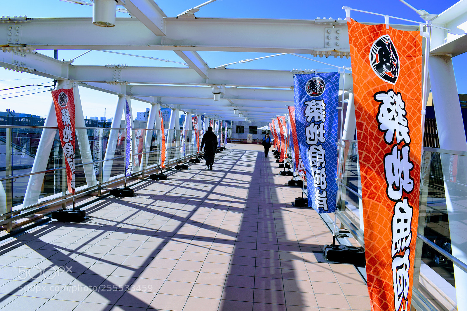 Nikon D3300 sample photo. Dsc photography