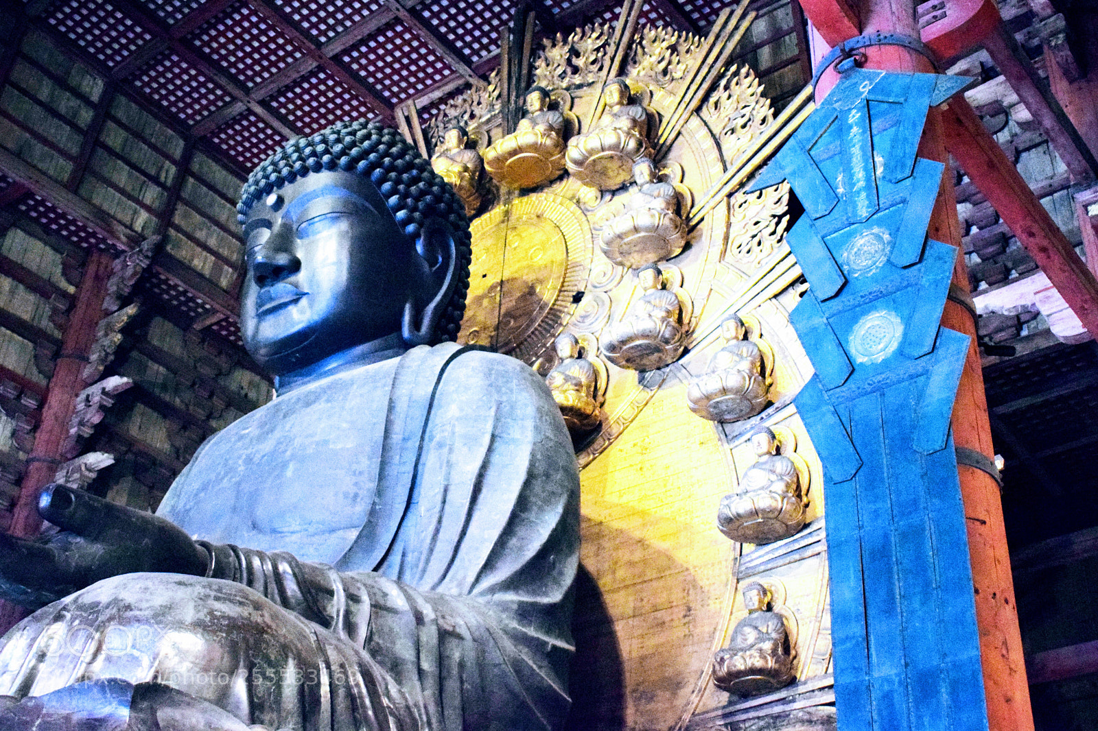 Nikon D3300 sample photo. Dsc photography