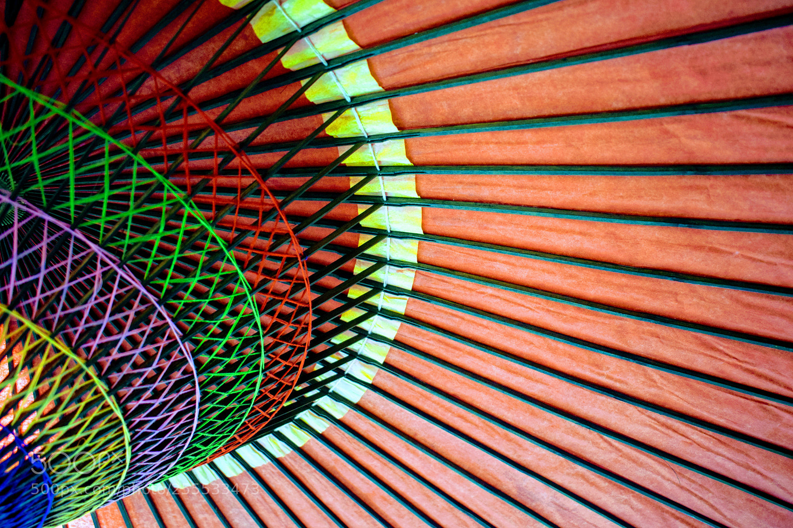 Nikon D3300 sample photo. Dsc photography