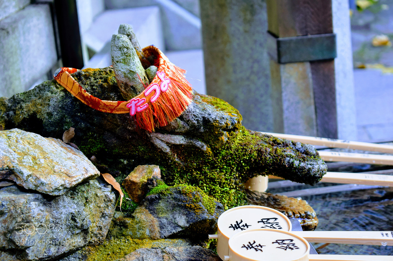 Nikon D3300 sample photo. Dsc photography