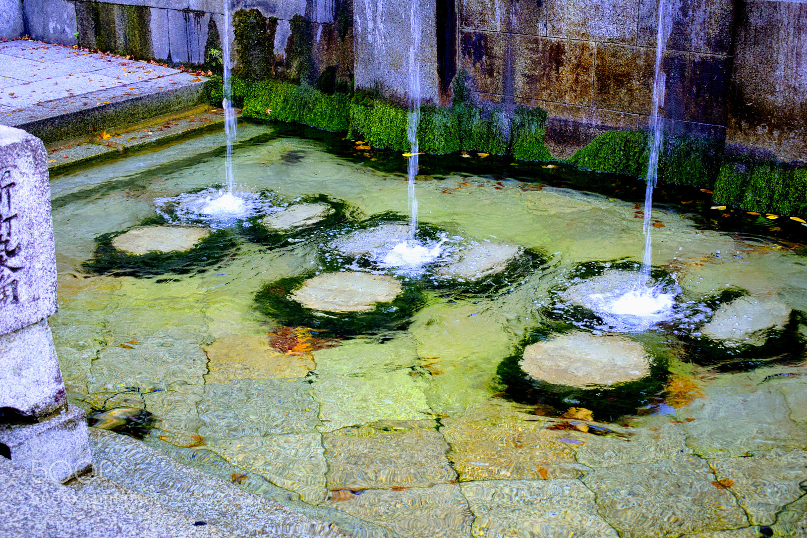 Nikon D3300 sample photo. Dsc photography