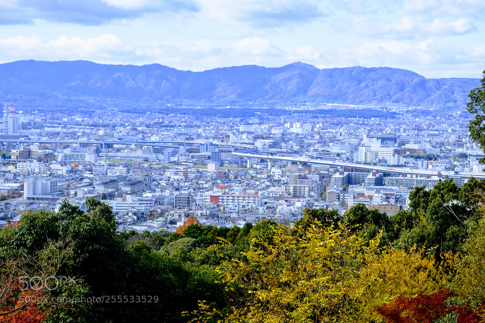 Nikon D3300 sample photo. () photography