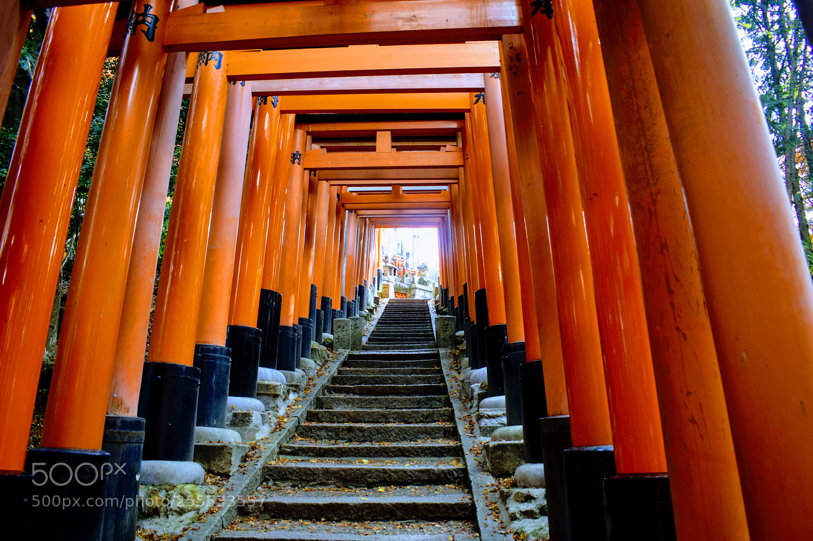 Nikon D3300 sample photo. () photography