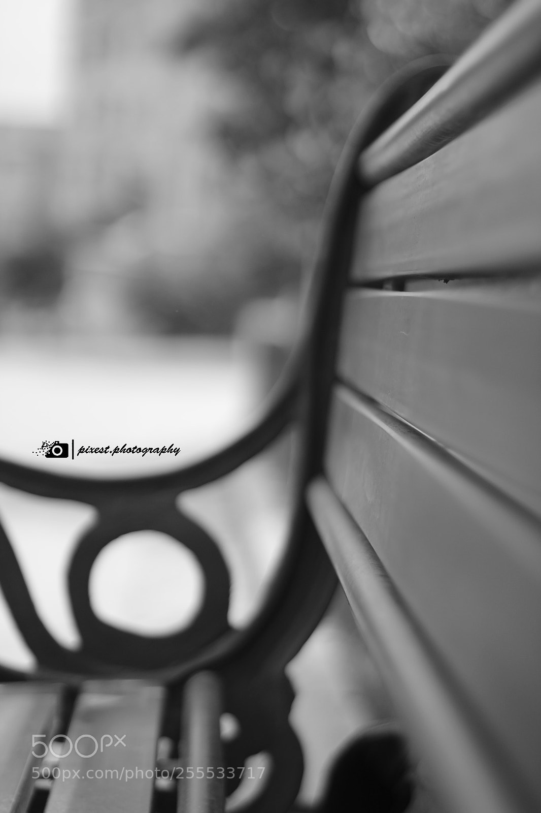Canon EOS 1200D (EOS Rebel T5 / EOS Kiss X70 / EOS Hi) sample photo. B & w photography