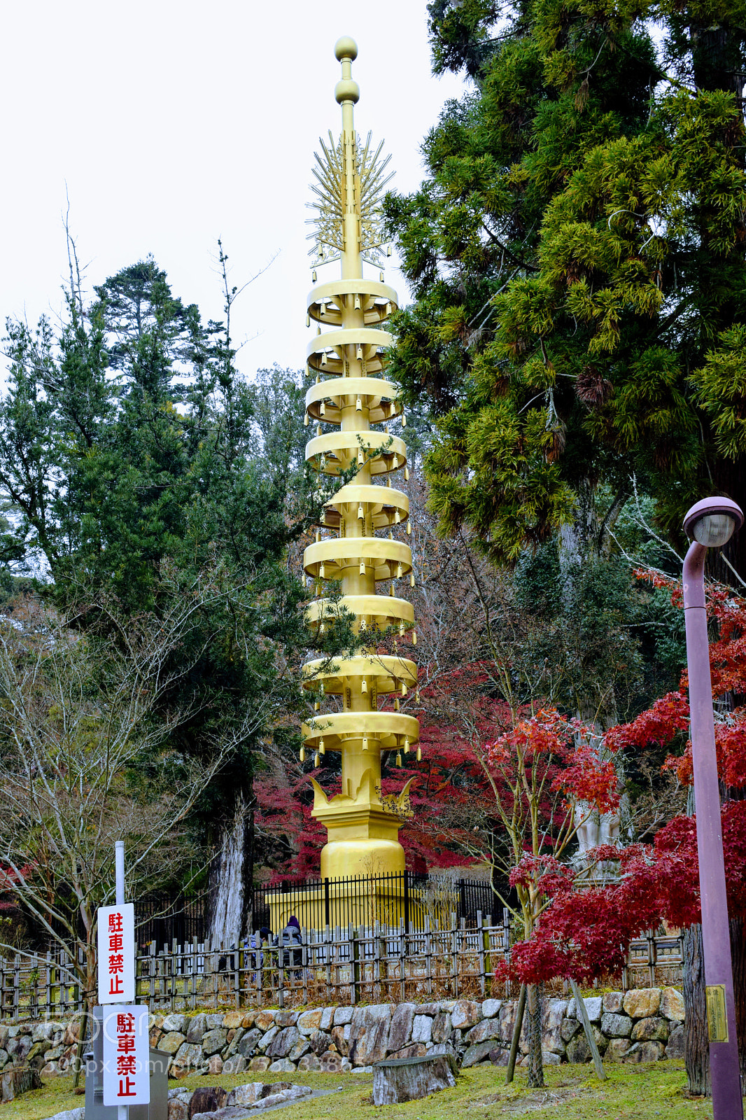 Nikon D3300 sample photo. Dsc photography