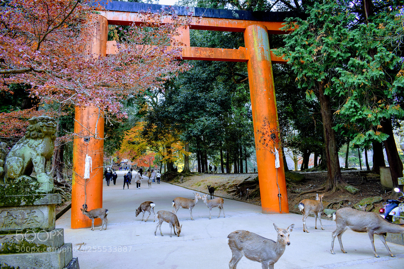 Nikon D3300 sample photo. () photography