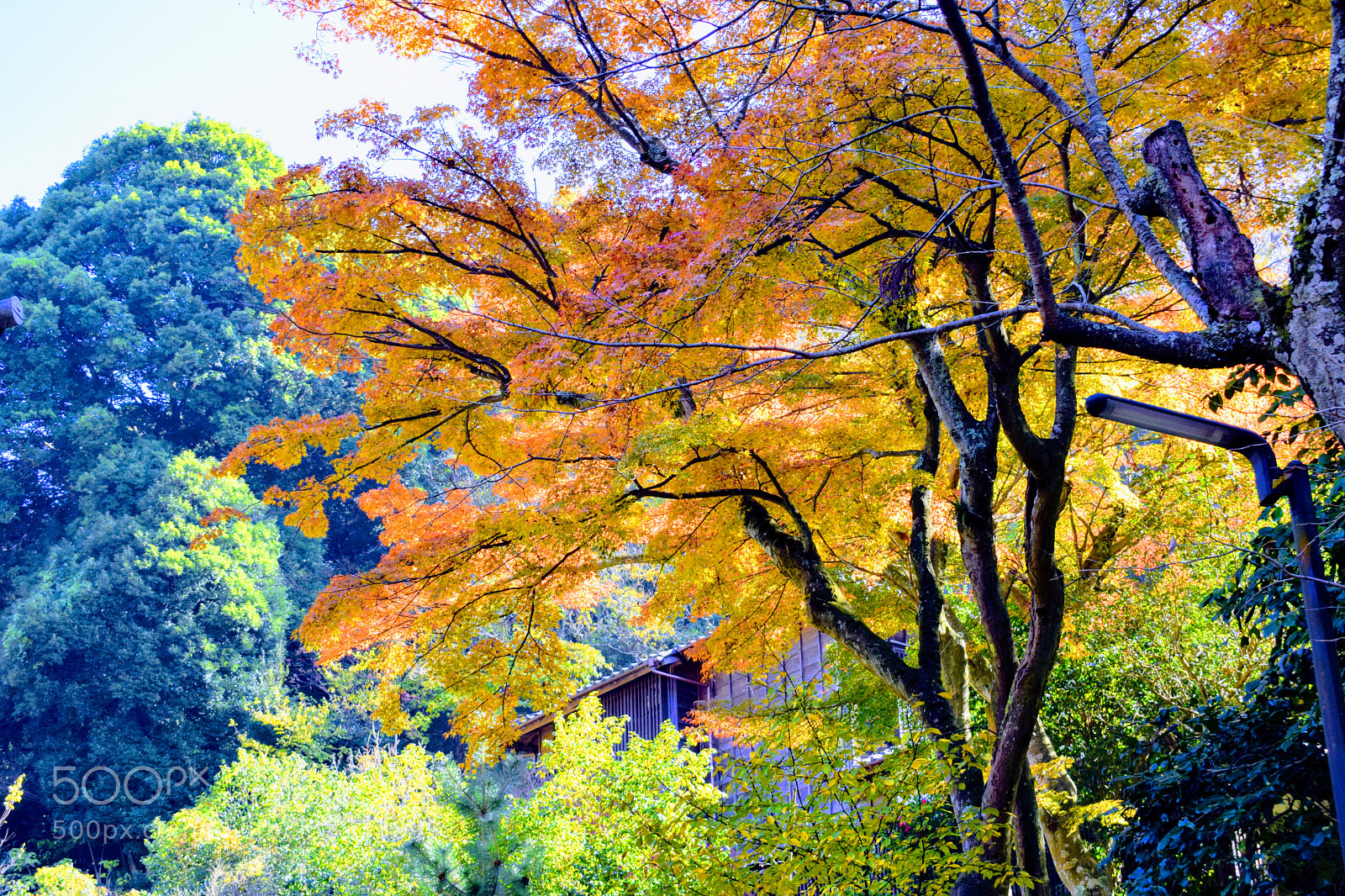 Nikon D3300 sample photo. Dsc photography
