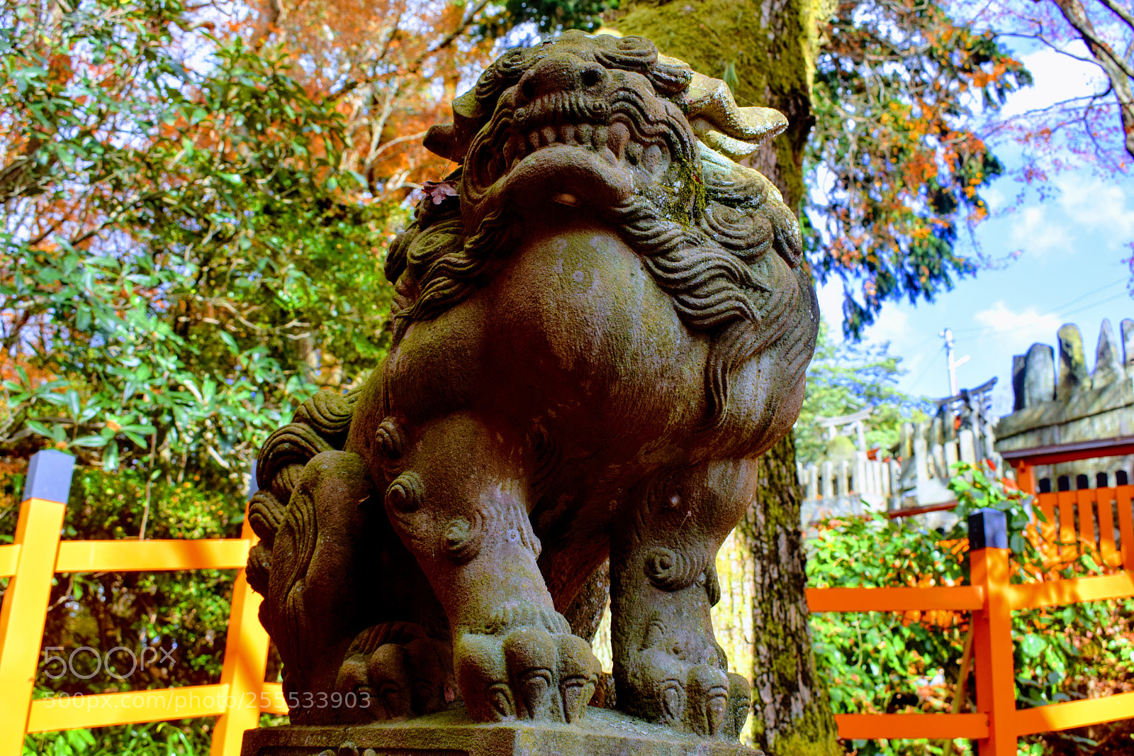 Nikon D3300 sample photo. () photography