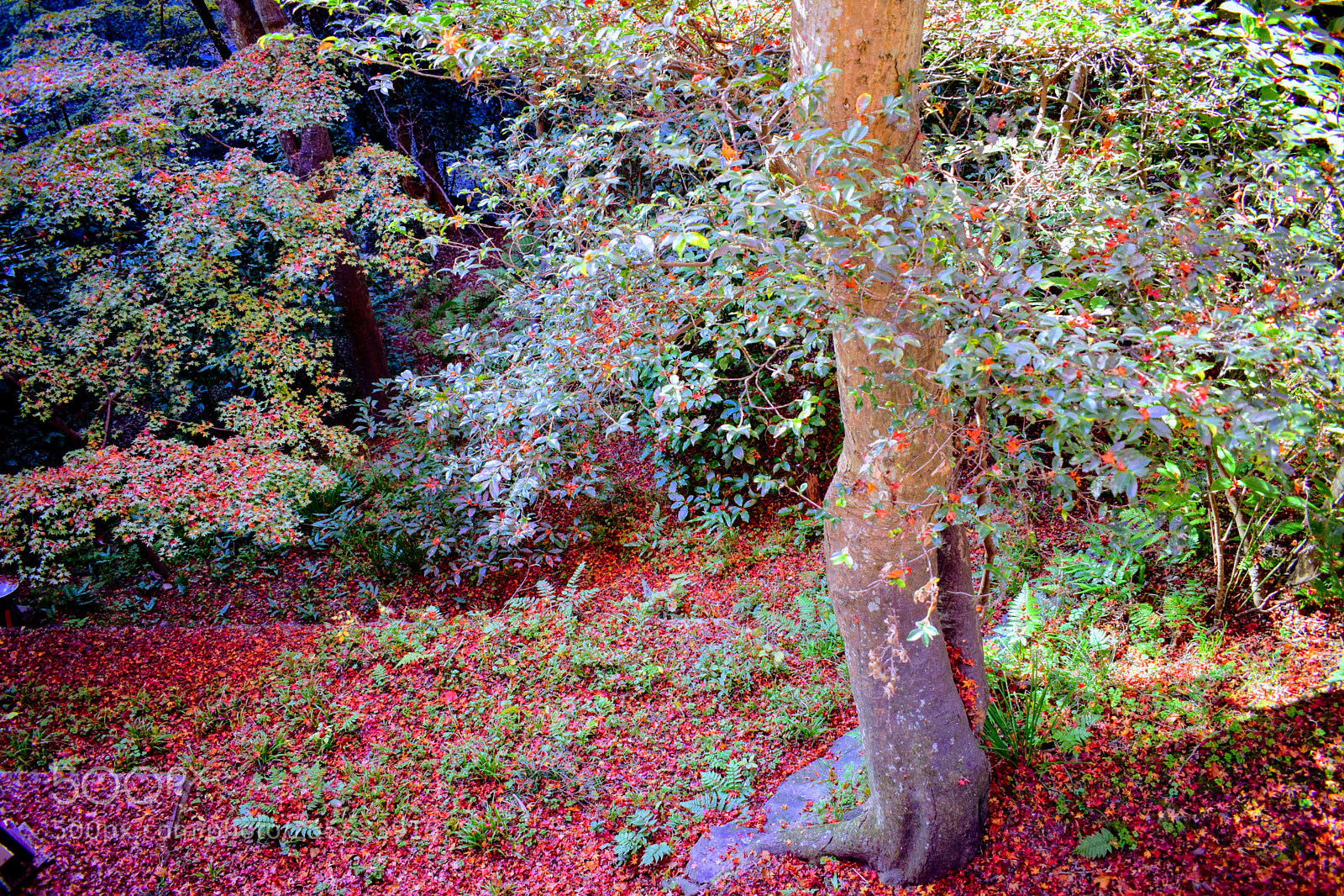 Nikon D3300 sample photo. Dsc photography