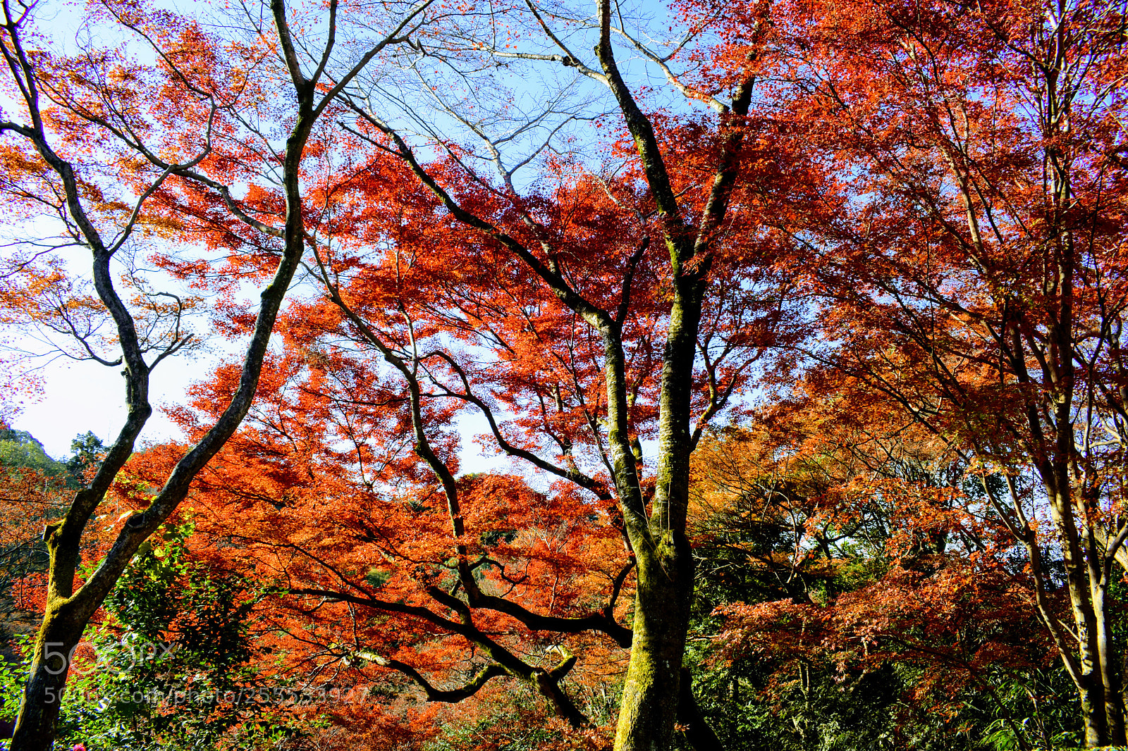 Nikon D3300 sample photo. Dsc photography