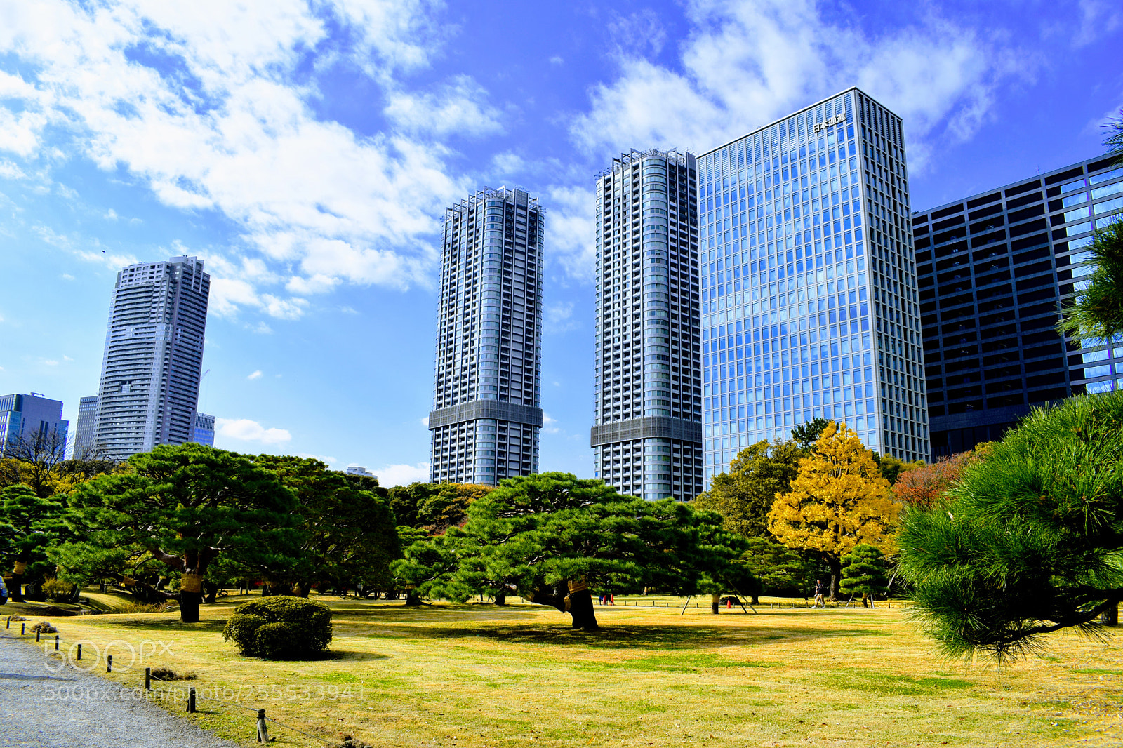 Nikon D3300 sample photo. Dsc photography