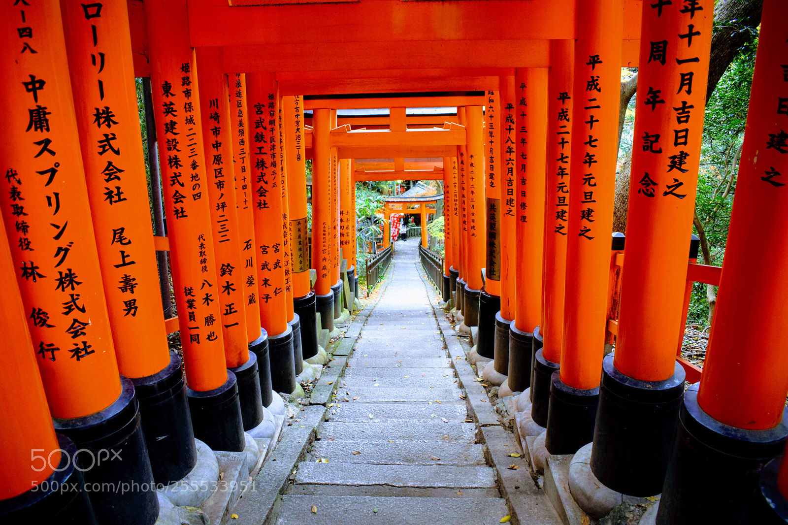 Nikon D3300 sample photo. () photography