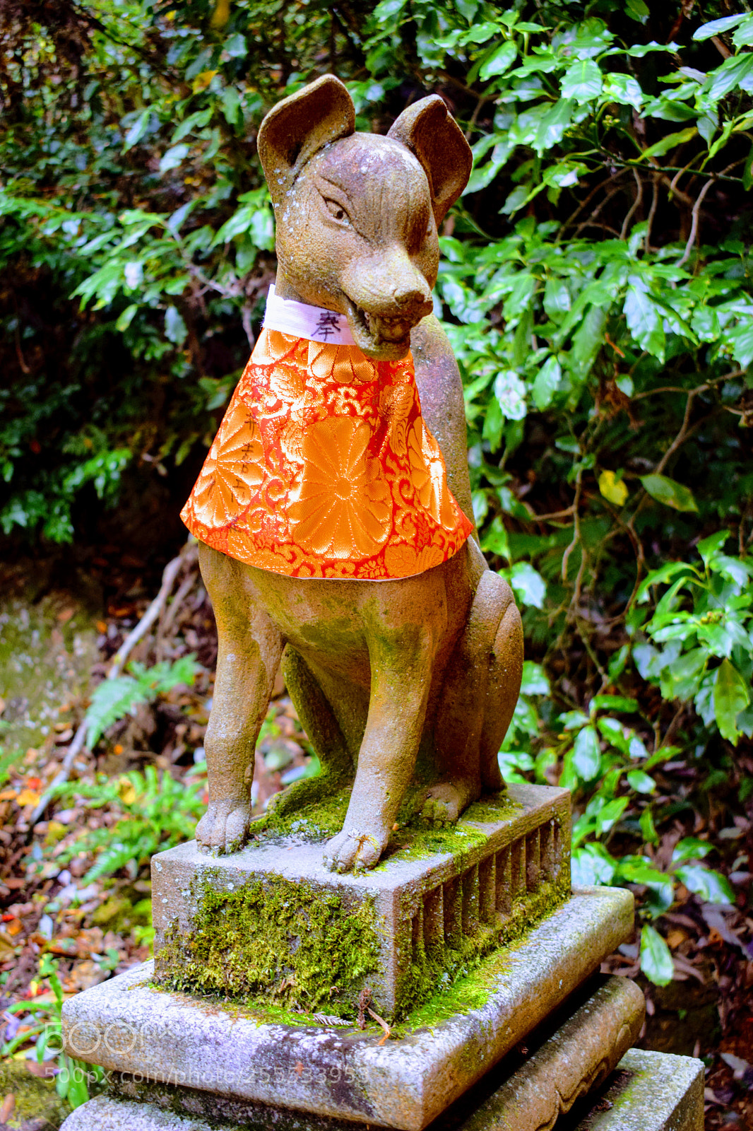 Nikon D3300 sample photo. () photography