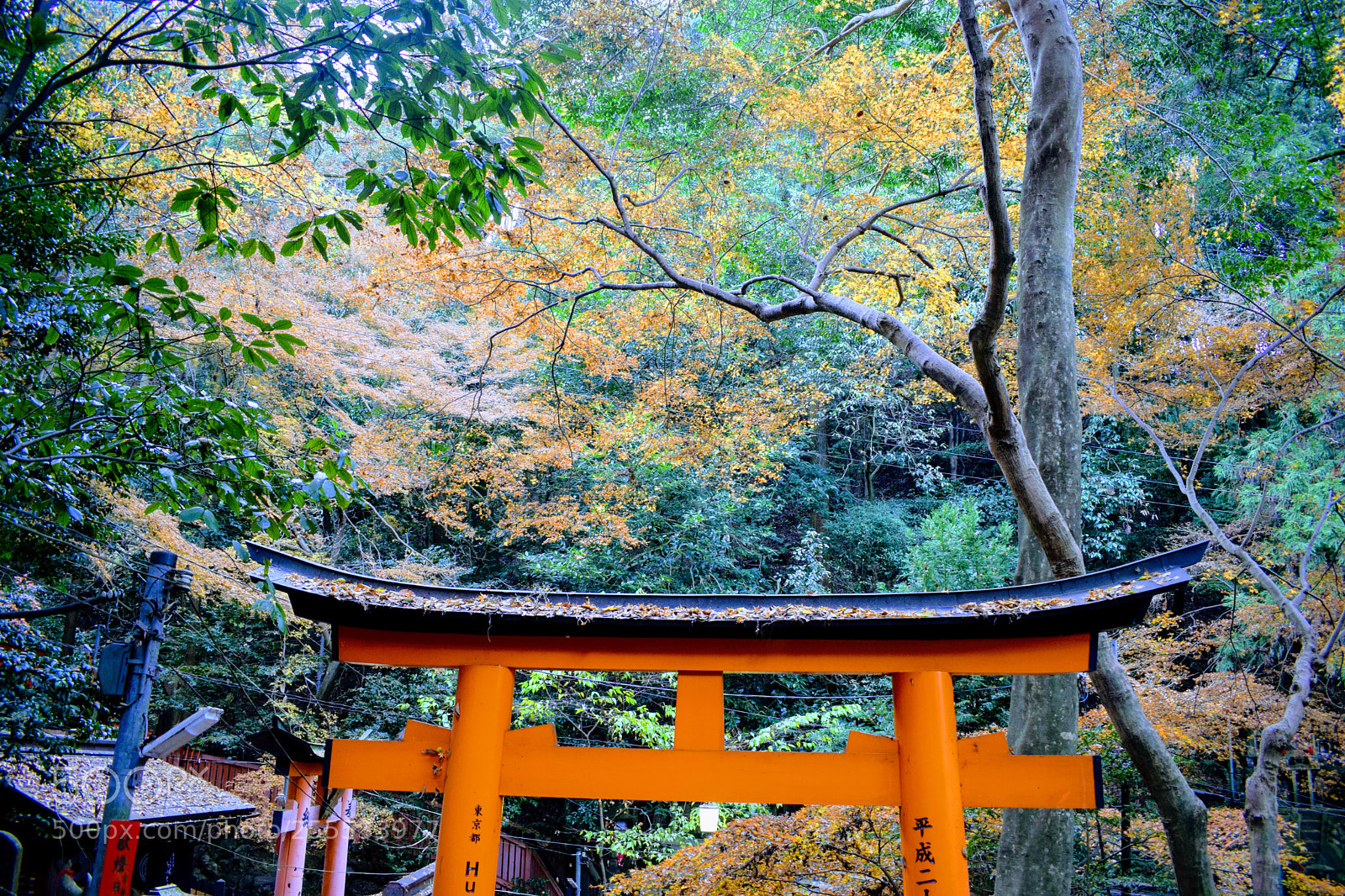 Nikon D3300 sample photo. Dsc photography