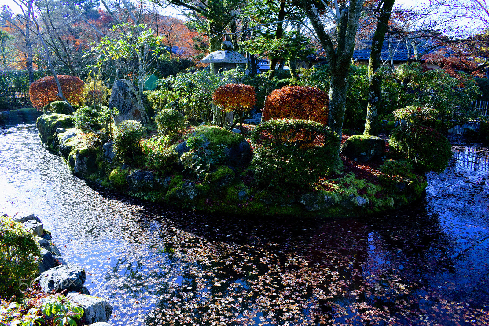 Nikon D3300 sample photo. Dsc photography