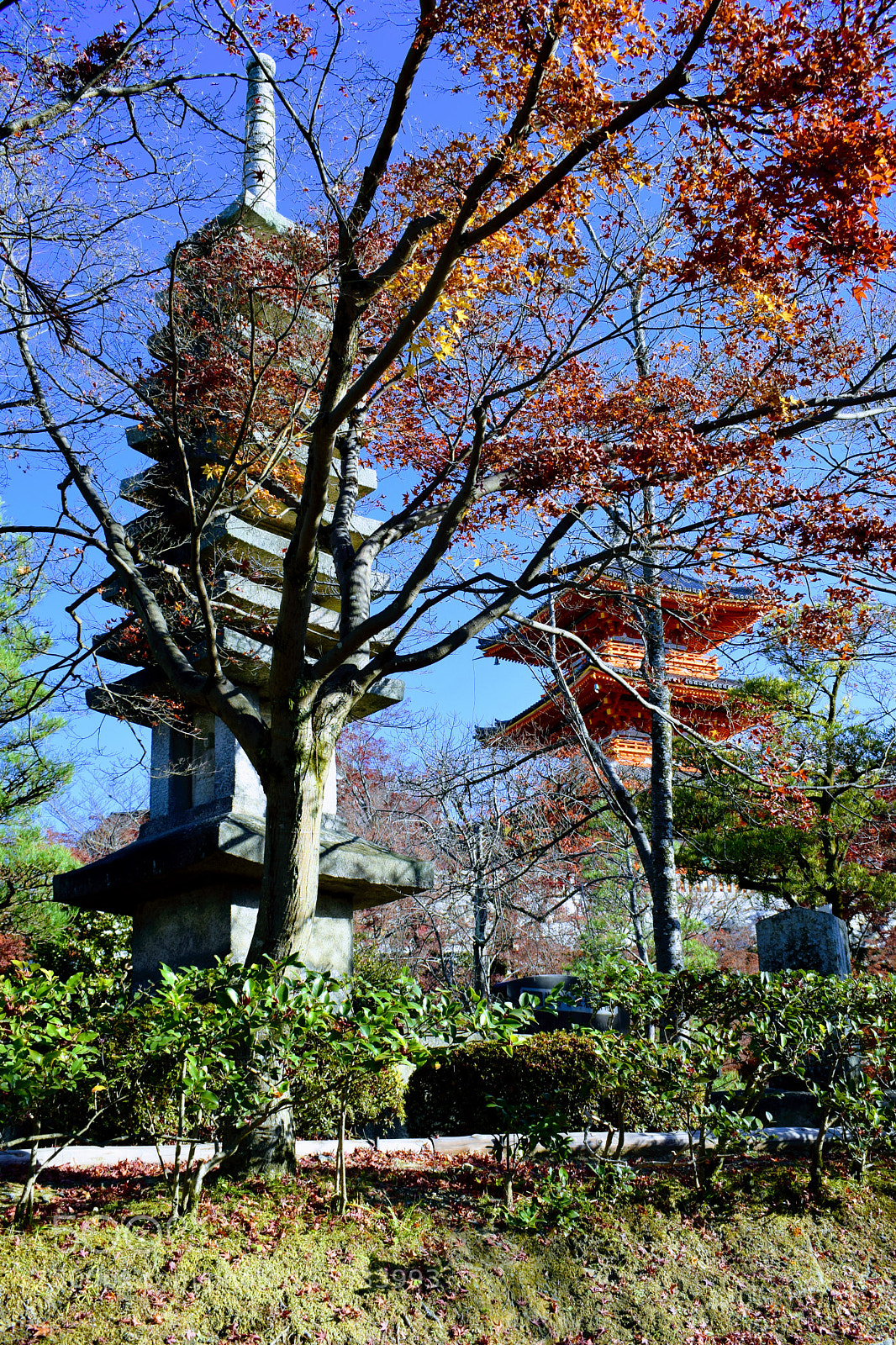Nikon D3300 sample photo. Dsc photography