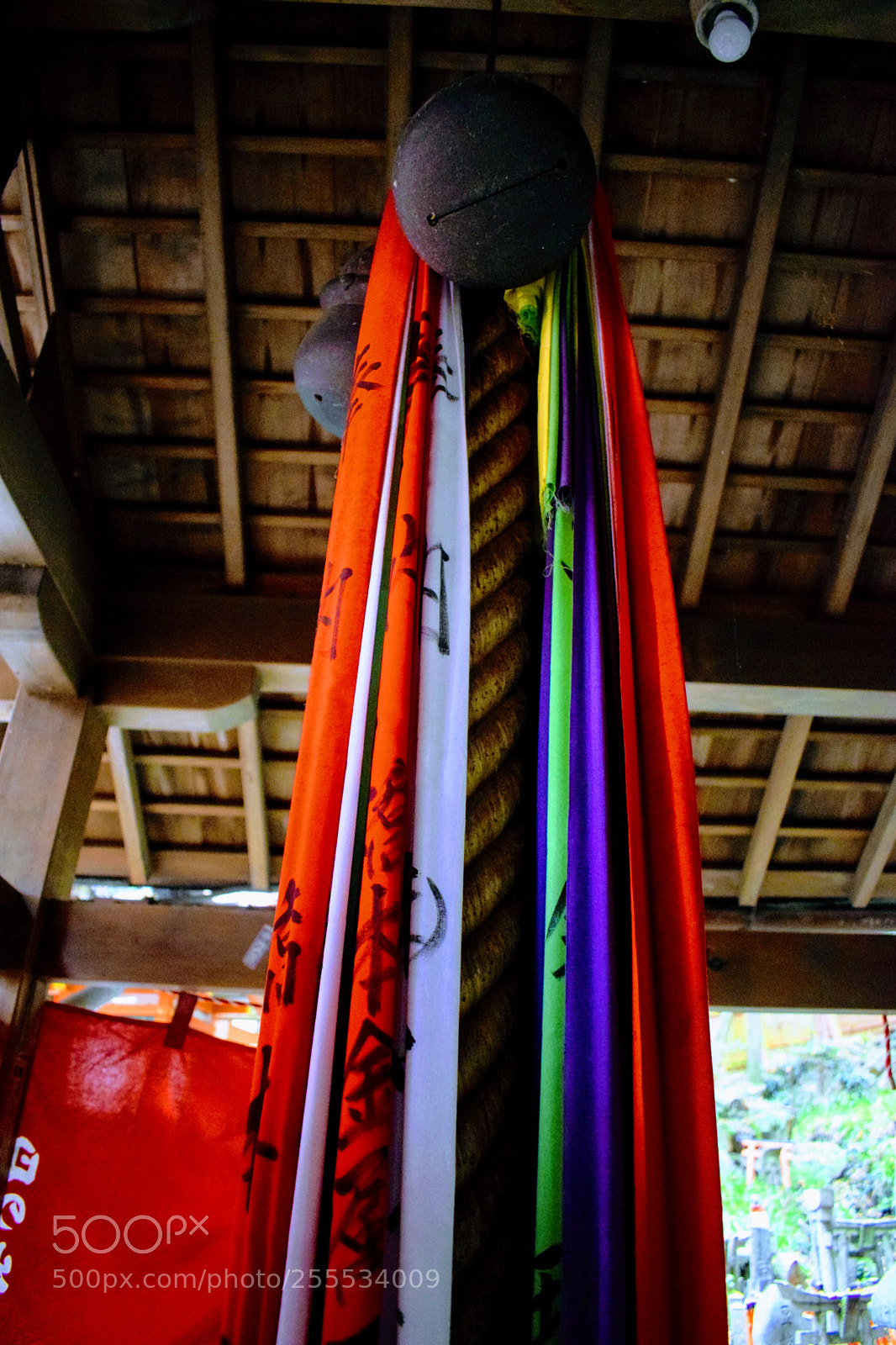 Nikon D3300 sample photo. Dsc photography