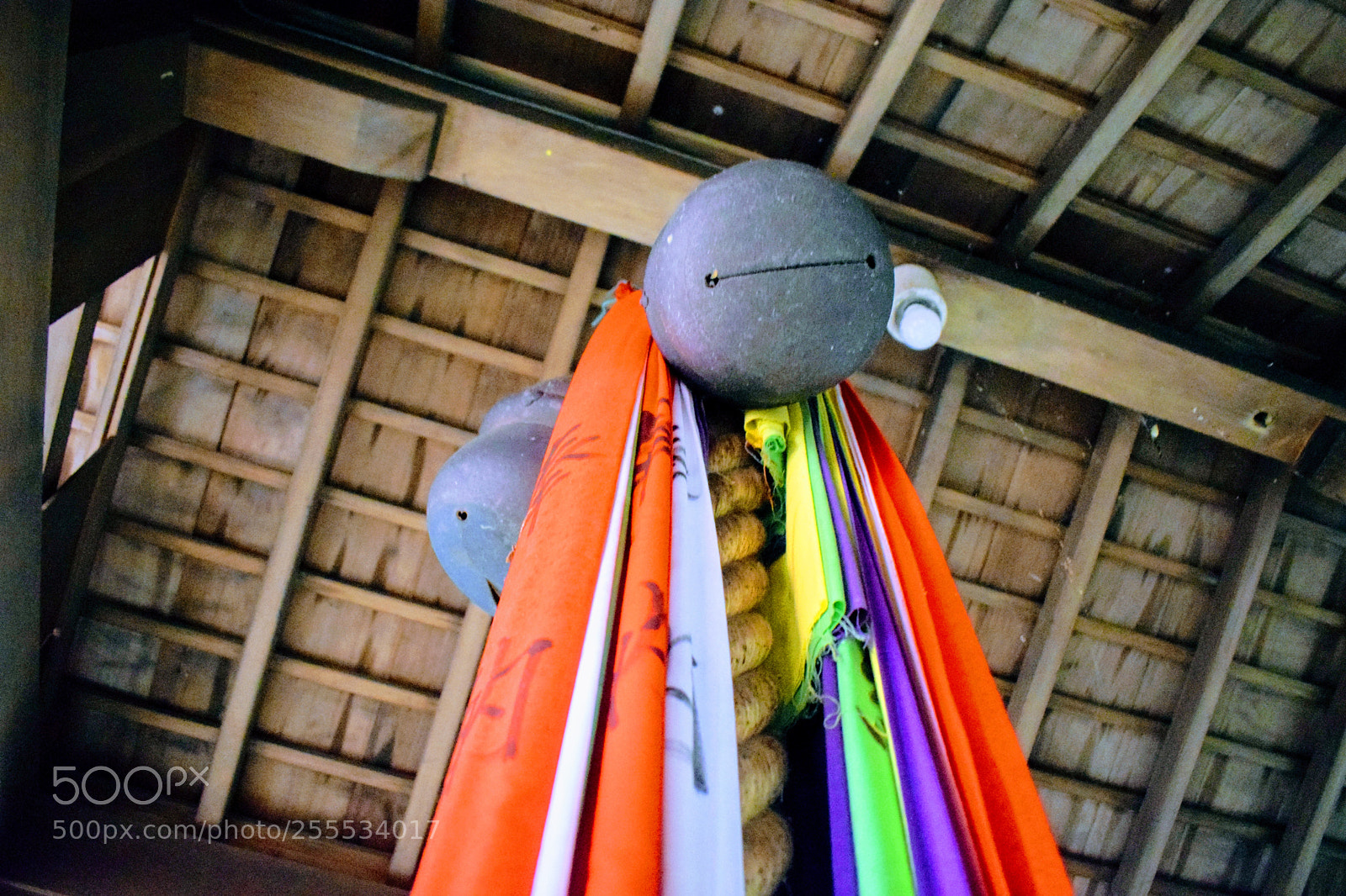 Nikon D3300 sample photo. Dsc photography