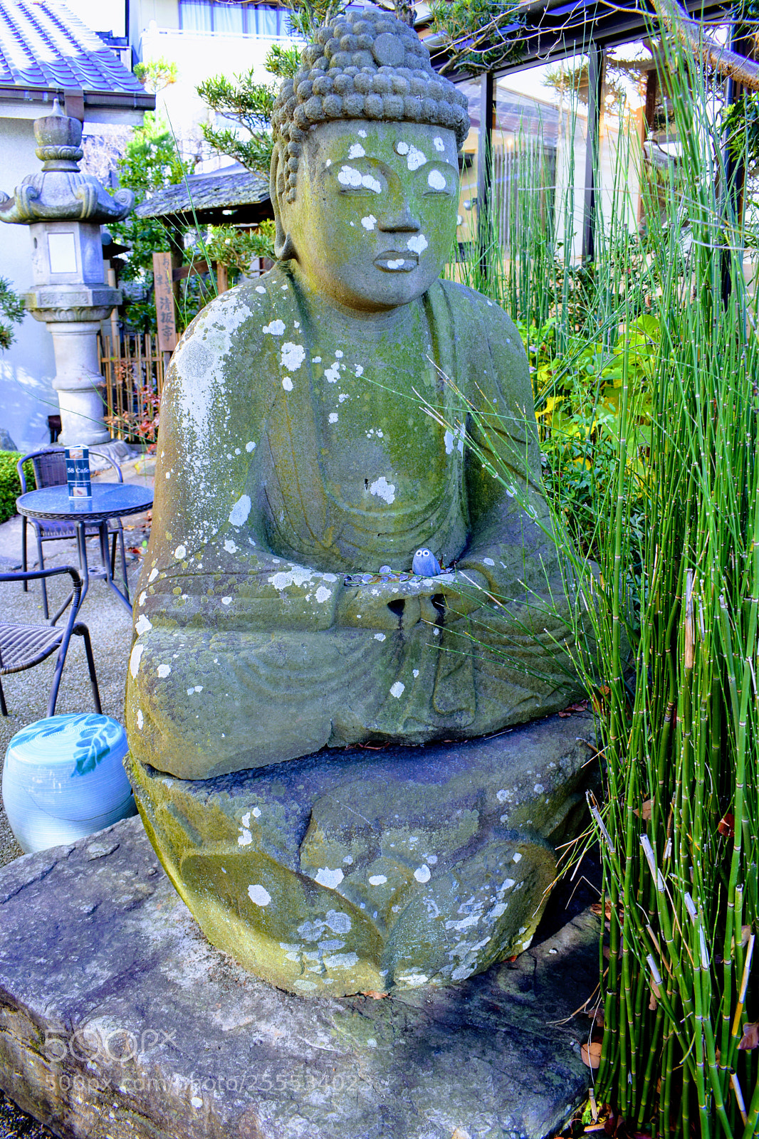 Nikon D3300 sample photo. Dsc photography