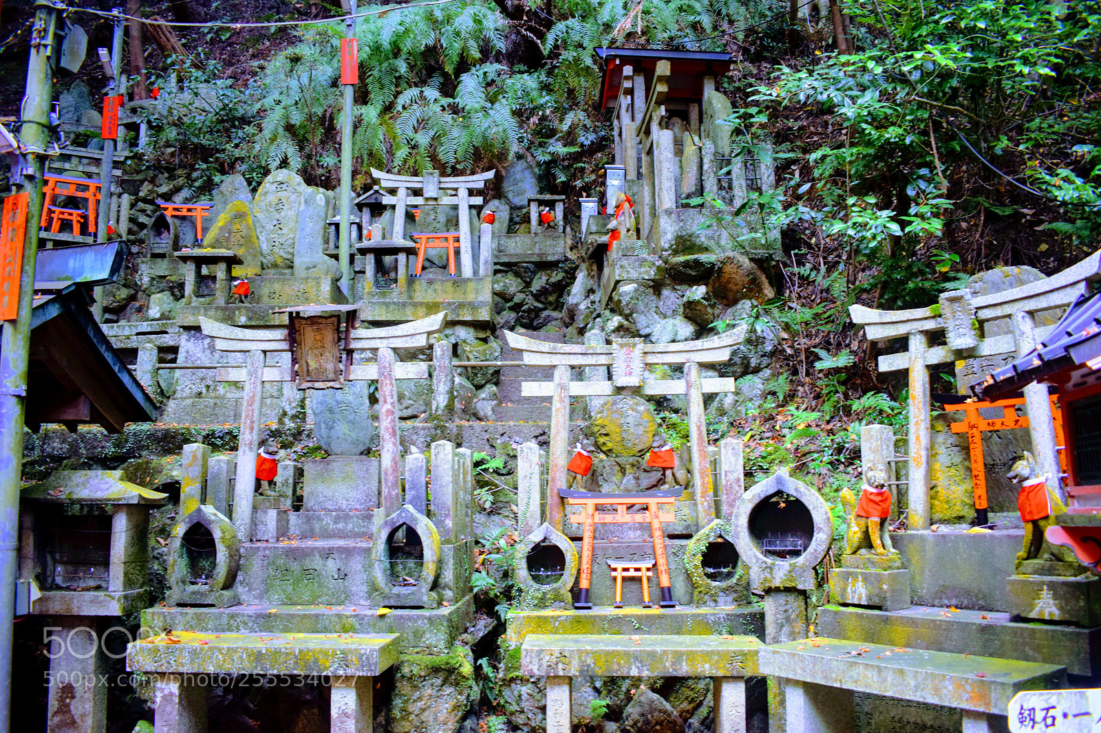 Nikon D3300 sample photo. Dsc photography