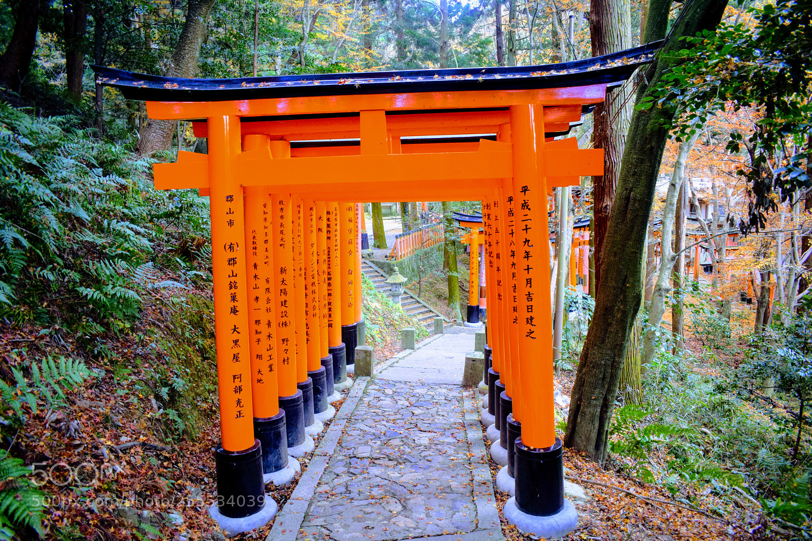 Nikon D3300 sample photo. Dsc photography