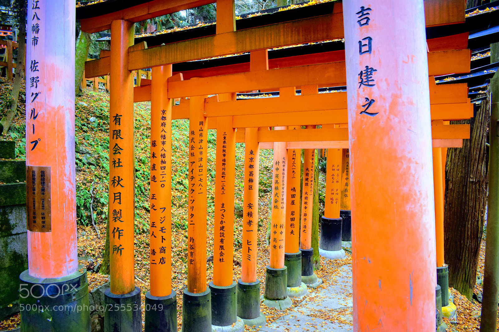 Nikon D3300 sample photo. Dsc photography