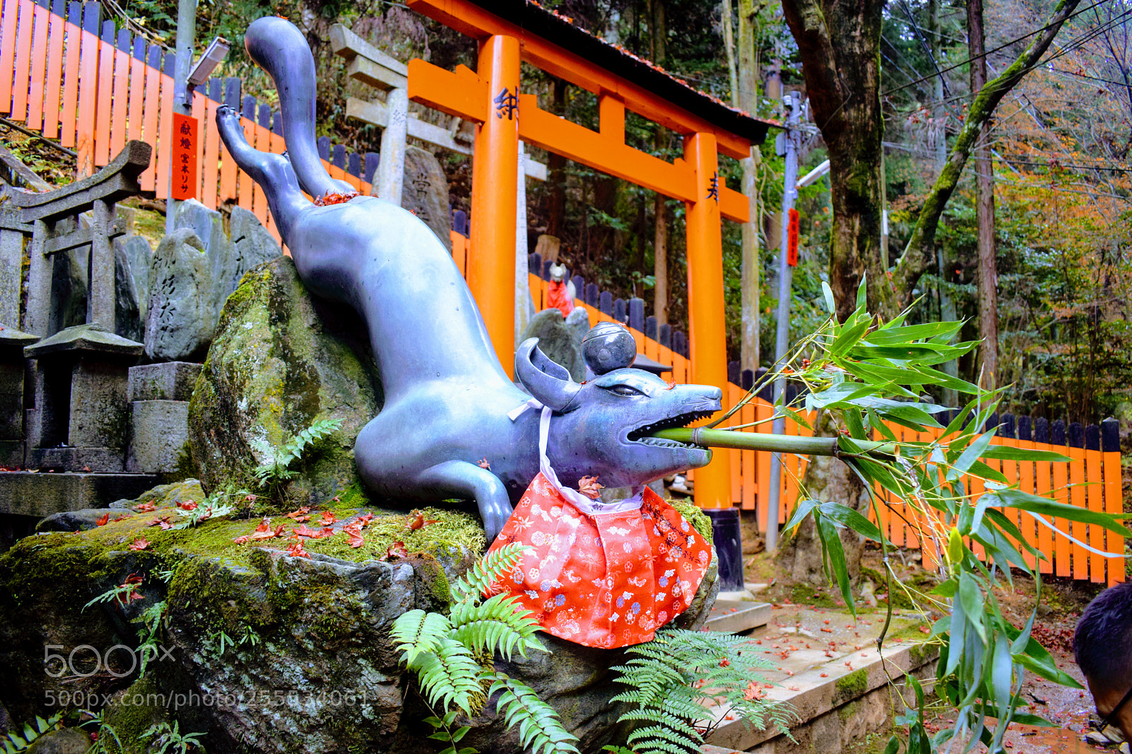 Nikon D3300 sample photo. Dsc photography