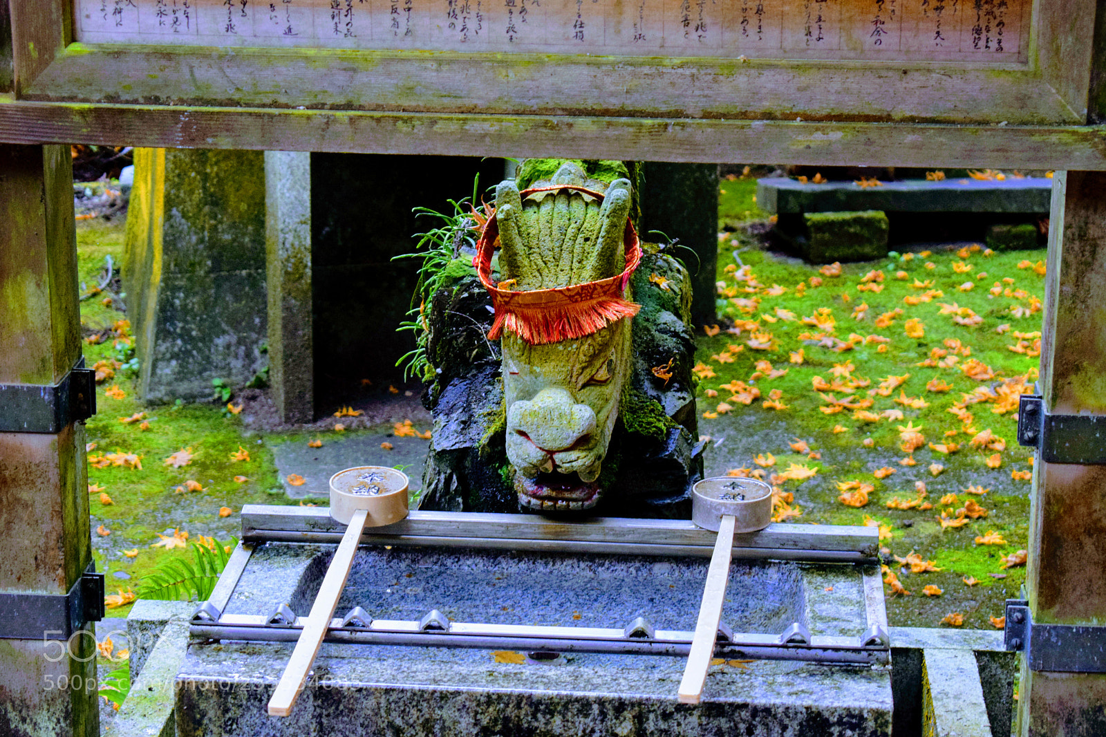 Nikon D3300 sample photo. Dsc photography