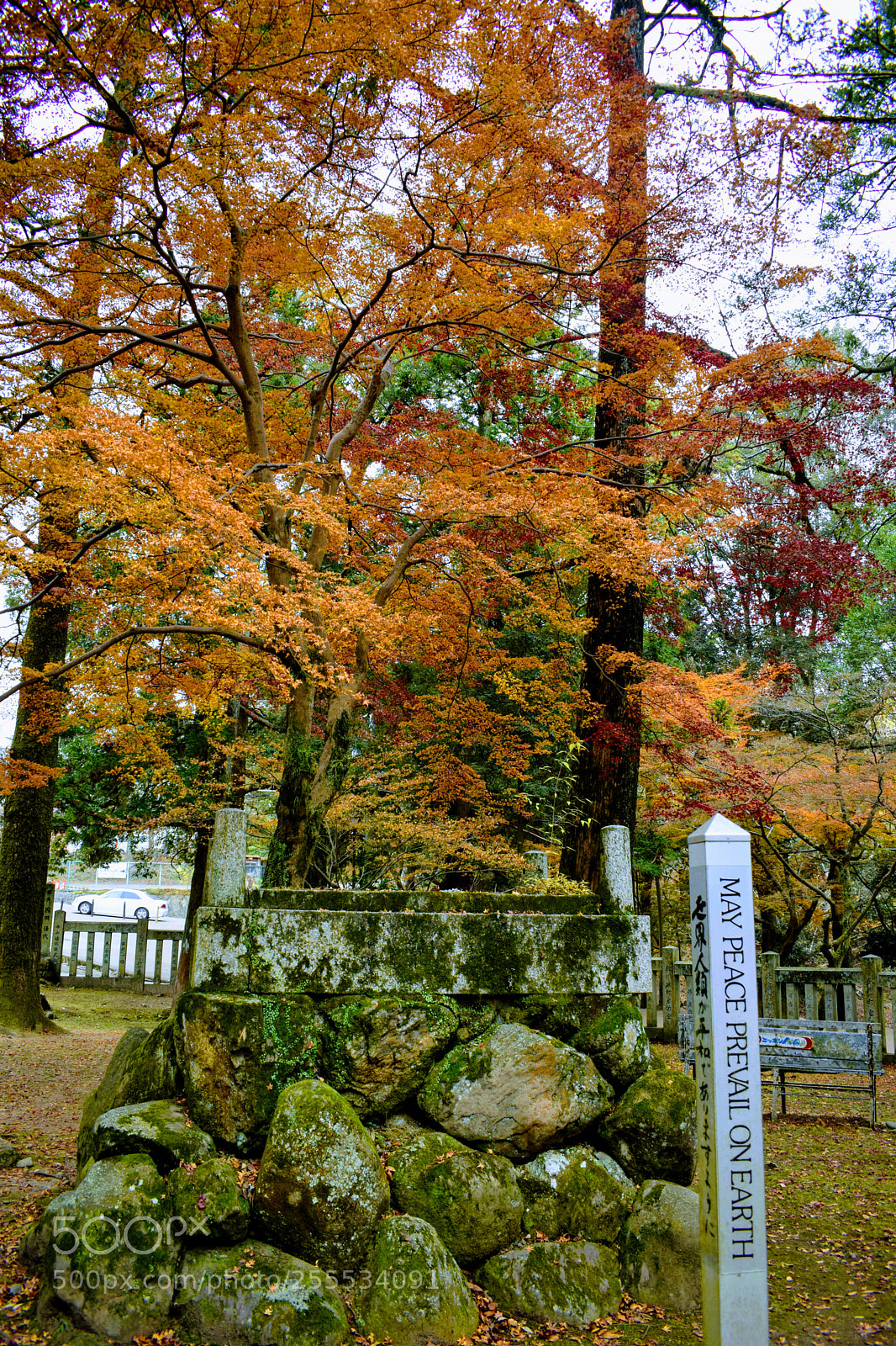Nikon D3300 sample photo. Dsc photography