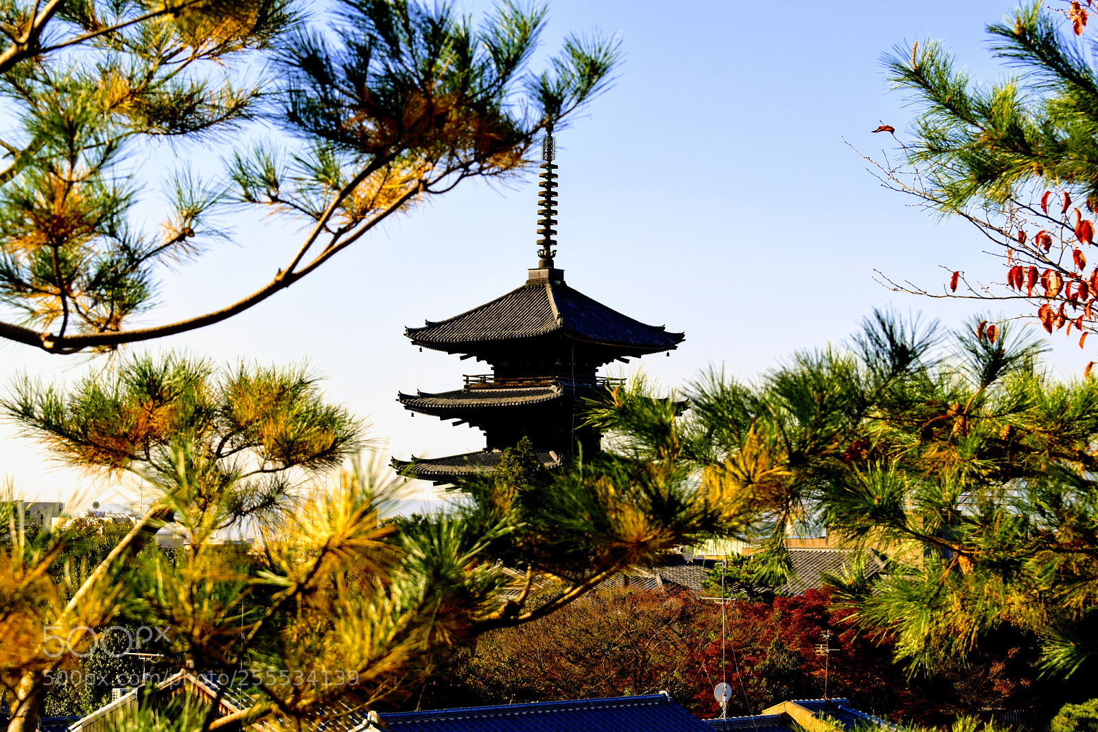 Nikon D3300 sample photo. Dsc photography