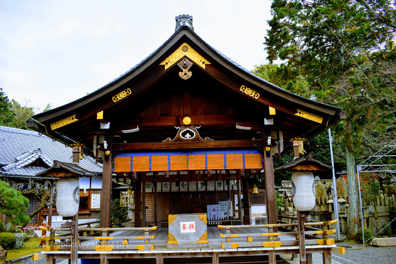 Nikon D3300 sample photo. Dsc photography