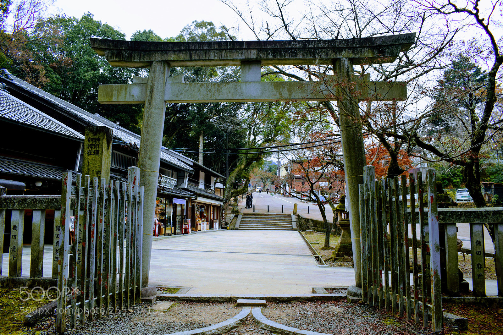 Nikon D3300 sample photo. Dsc photography