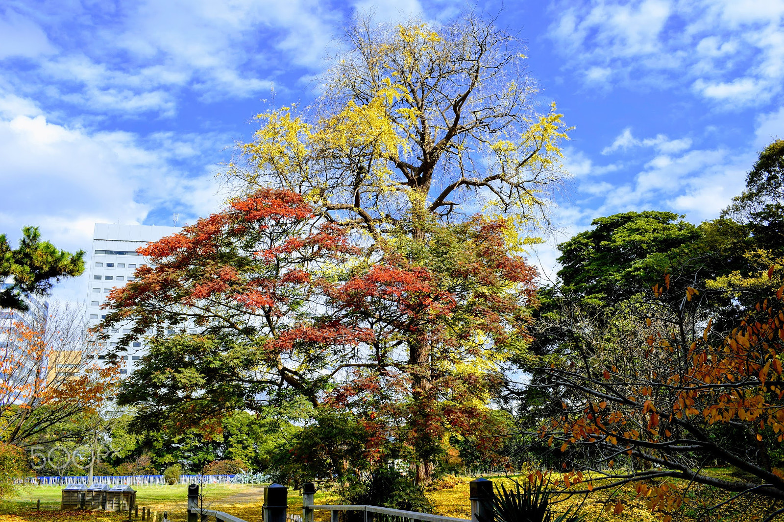 Nikon D3300 sample photo. Dsc photography