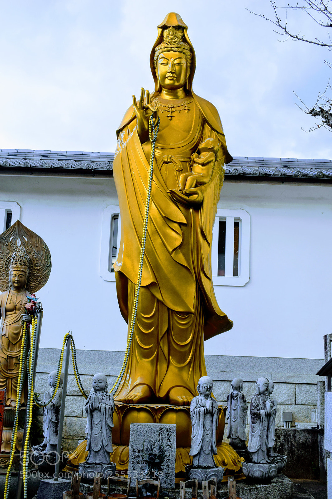Nikon D3300 sample photo. Dsc photography