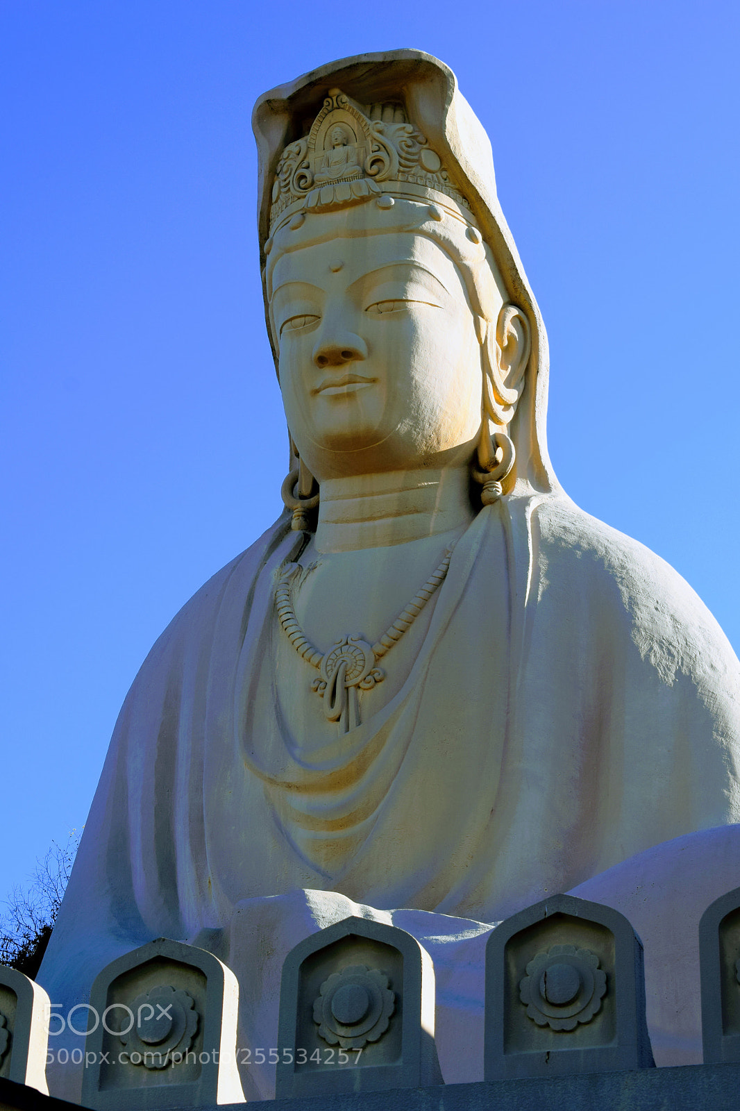 Nikon D3300 sample photo. Dsc photography