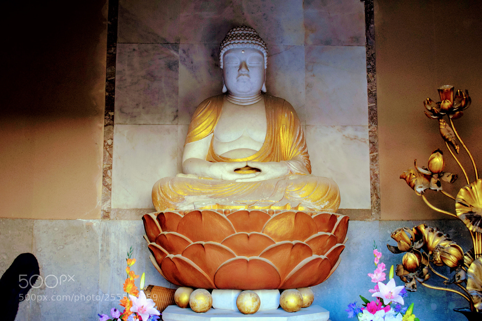 Nikon D3300 sample photo. Dsc photography