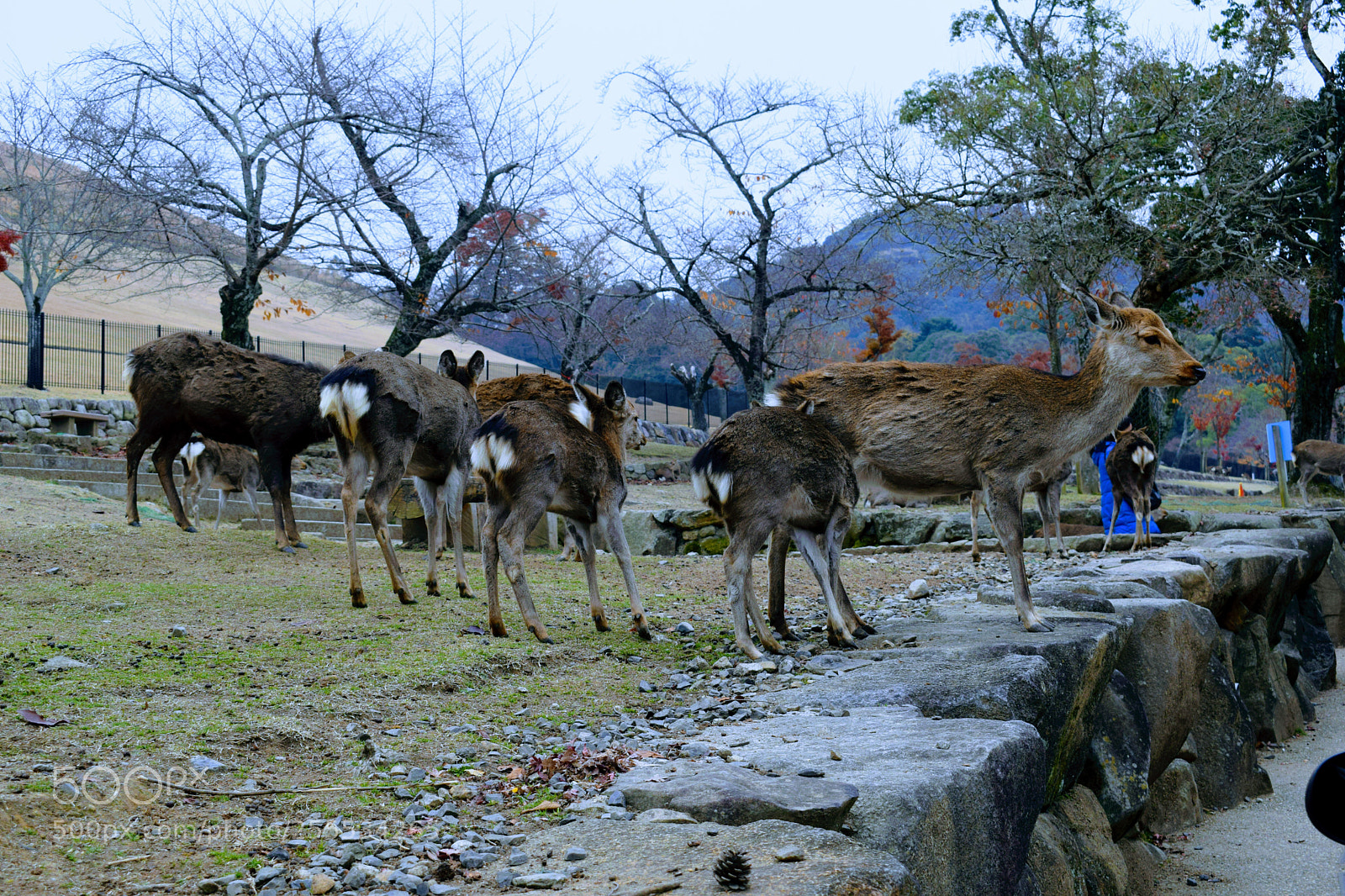 Nikon D3300 sample photo. () photography