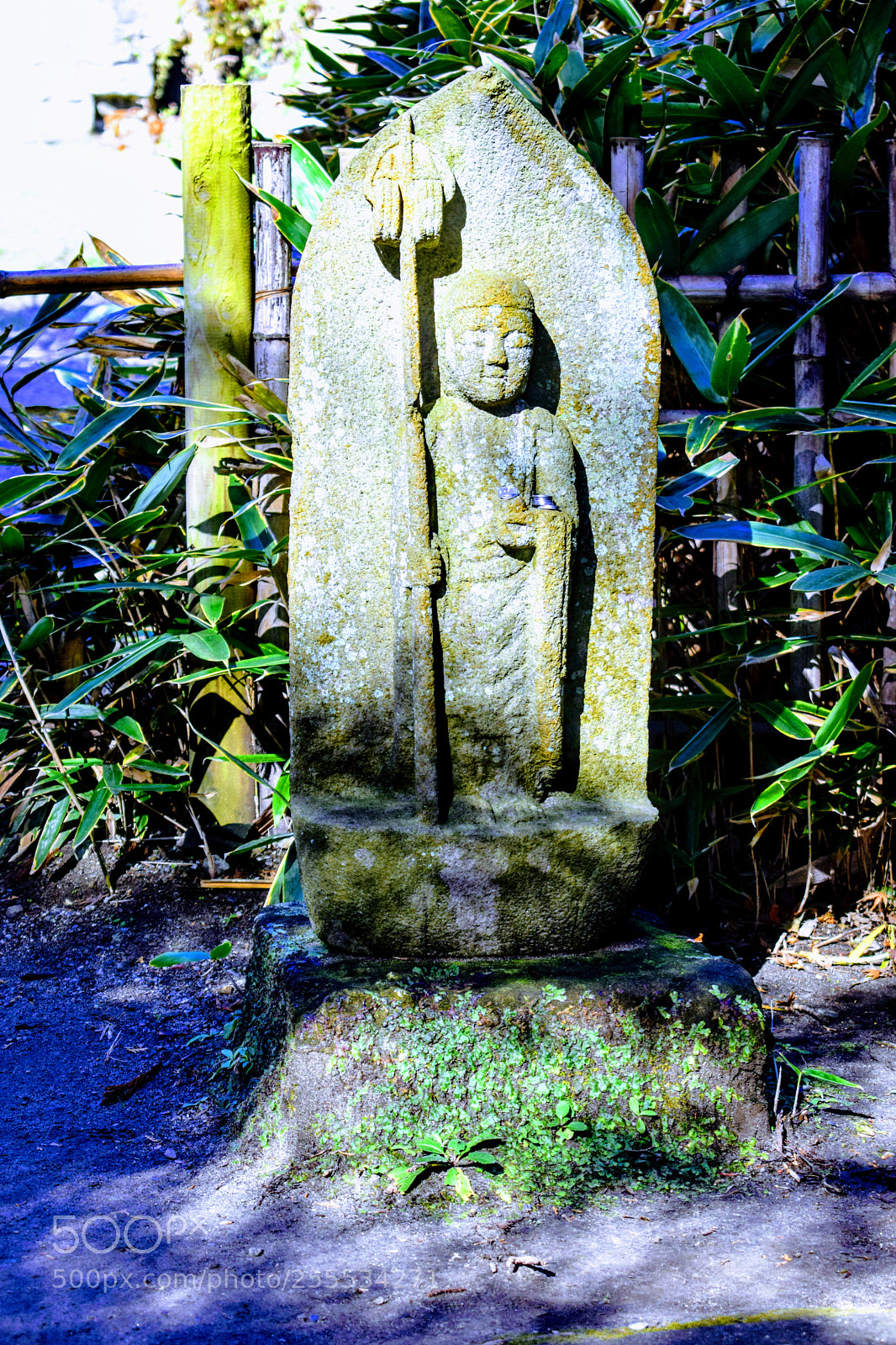 Nikon D3300 sample photo. Dsc photography