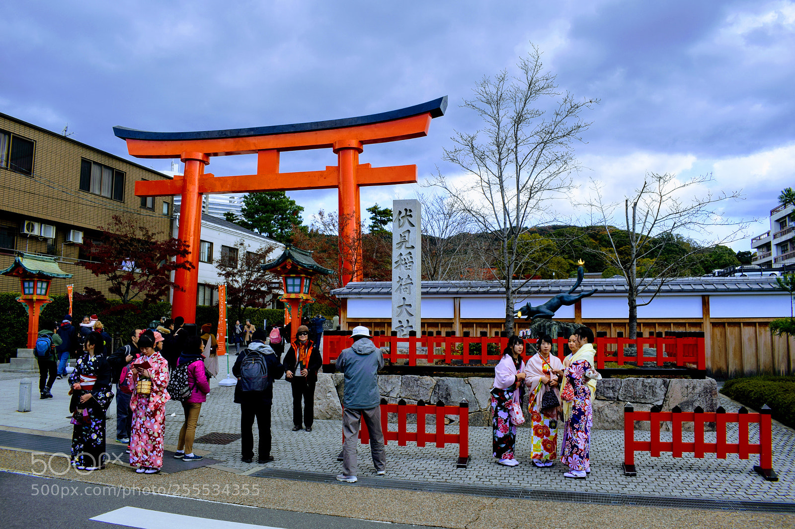Nikon D3300 sample photo. Dsc photography