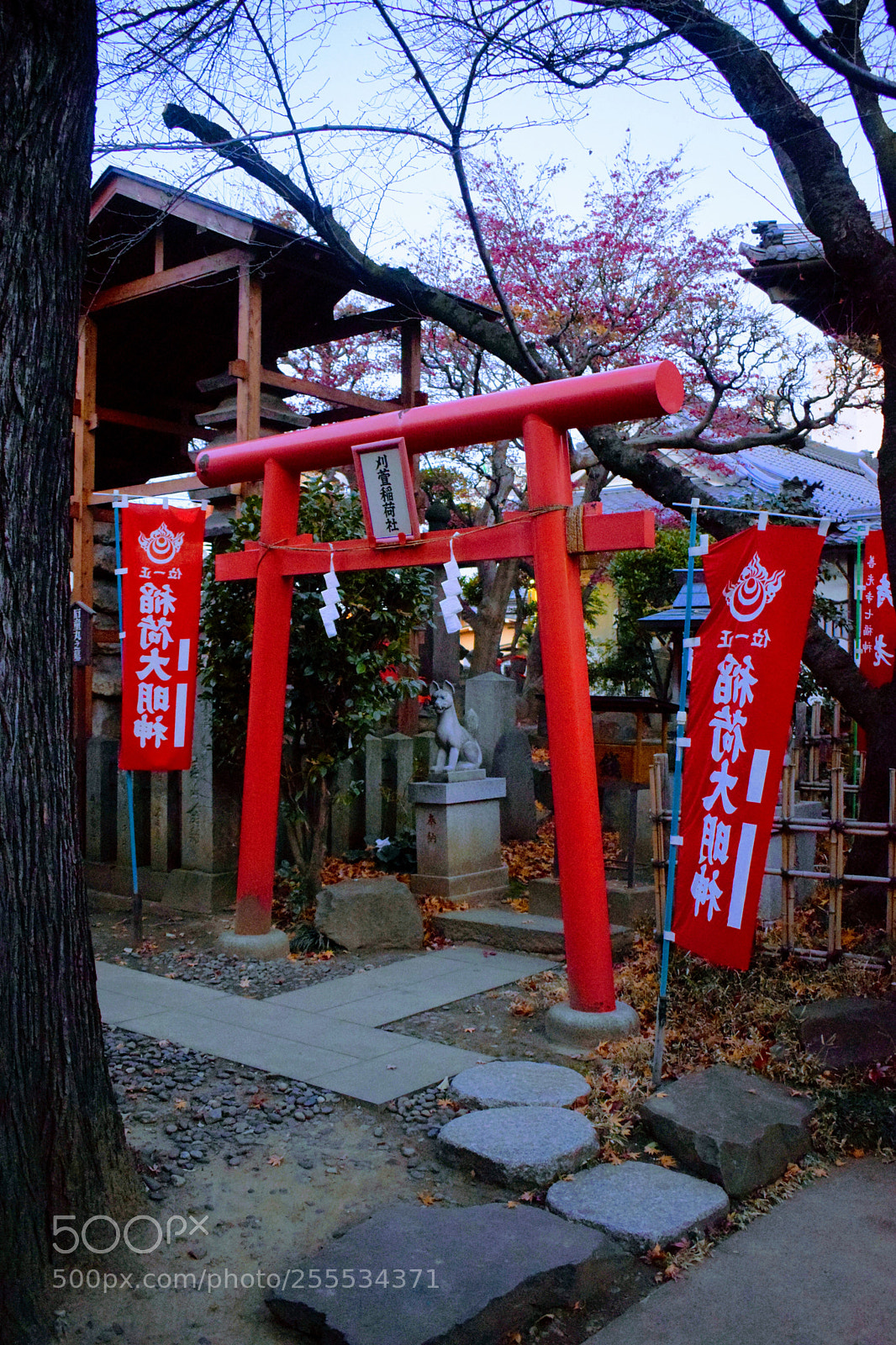 Nikon D3300 sample photo. Dsc photography