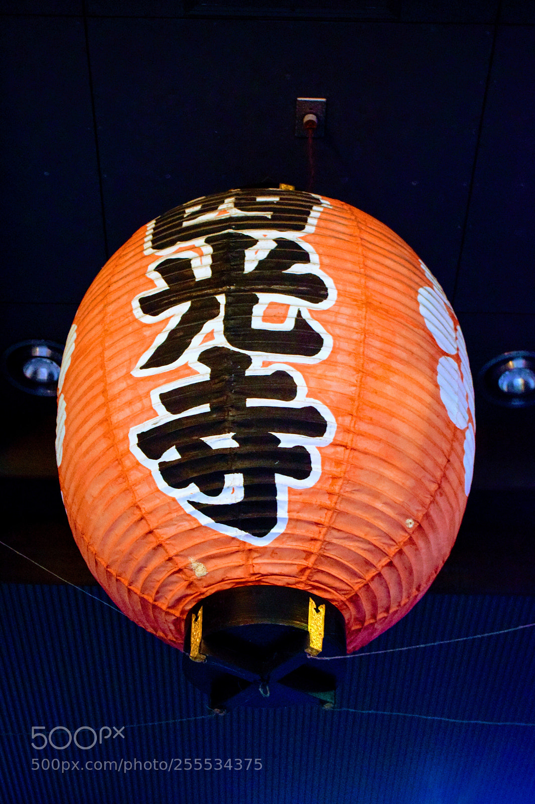 Nikon D3300 sample photo. Dsc photography