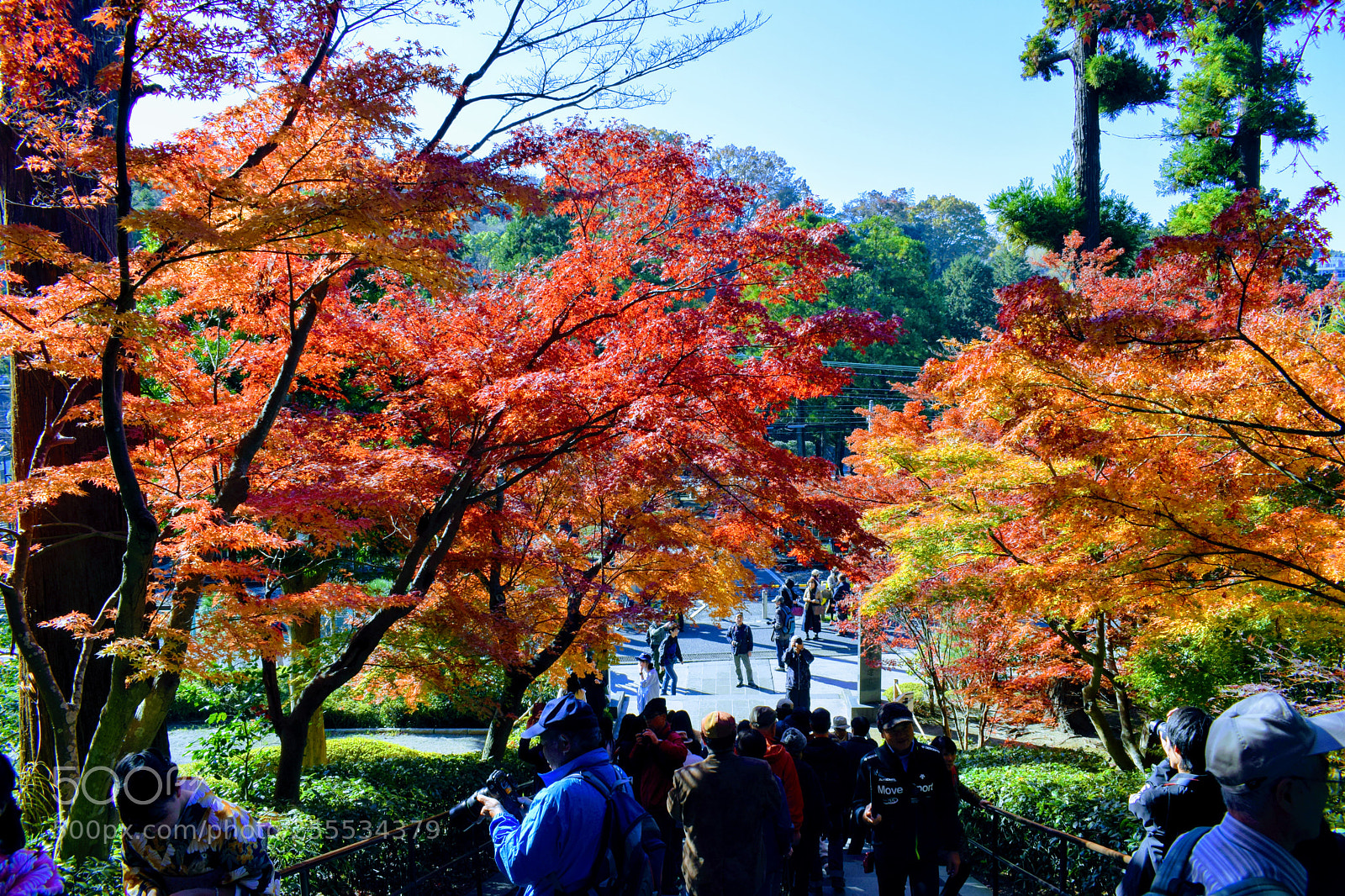 Nikon D3300 sample photo. Dsc photography