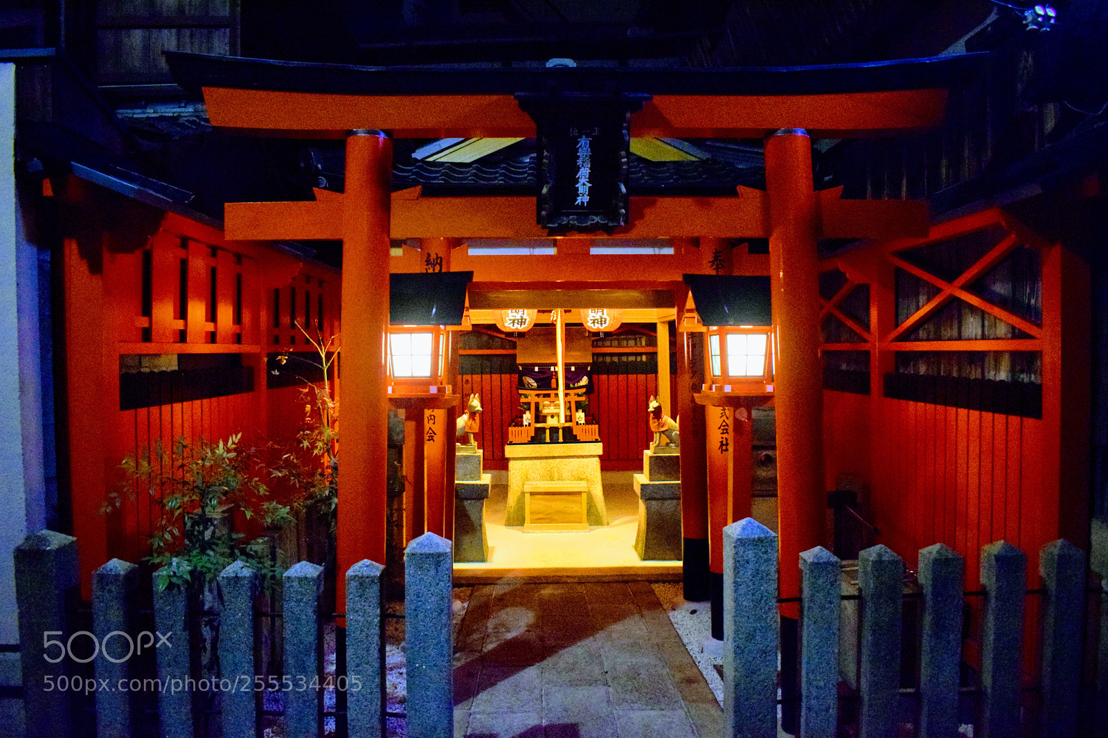 Nikon D3300 sample photo. Dsc photography