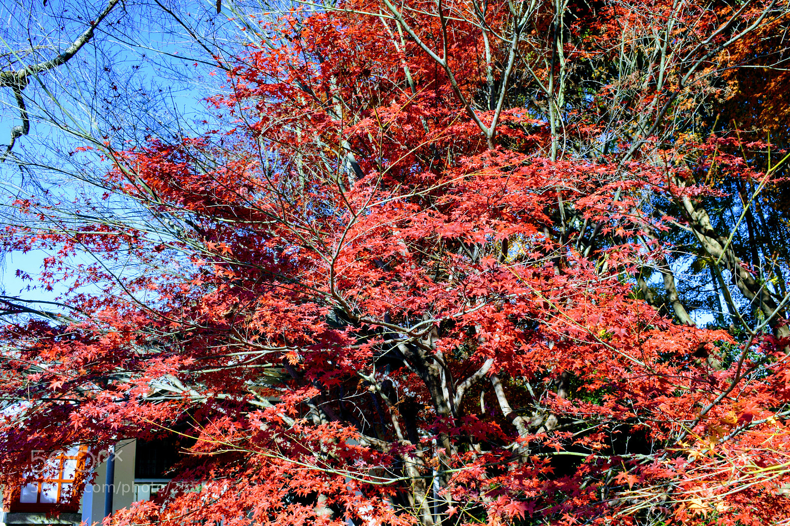 Nikon D3300 sample photo. Dsc photography