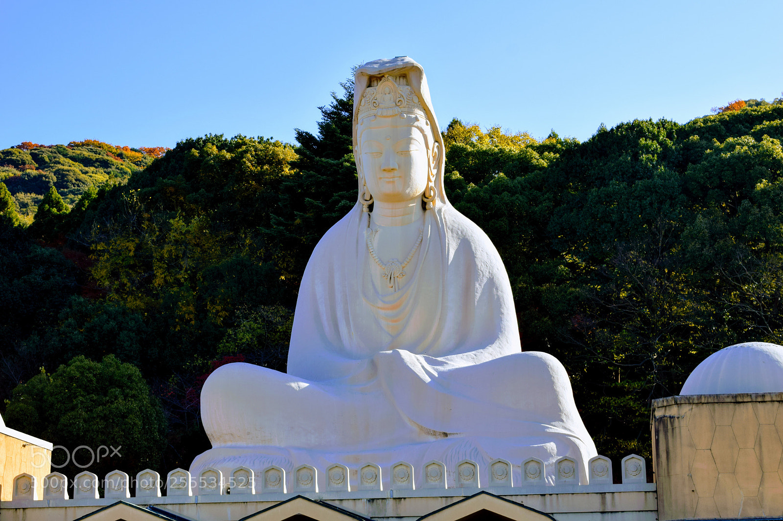 Nikon D3300 sample photo. Dsc photography