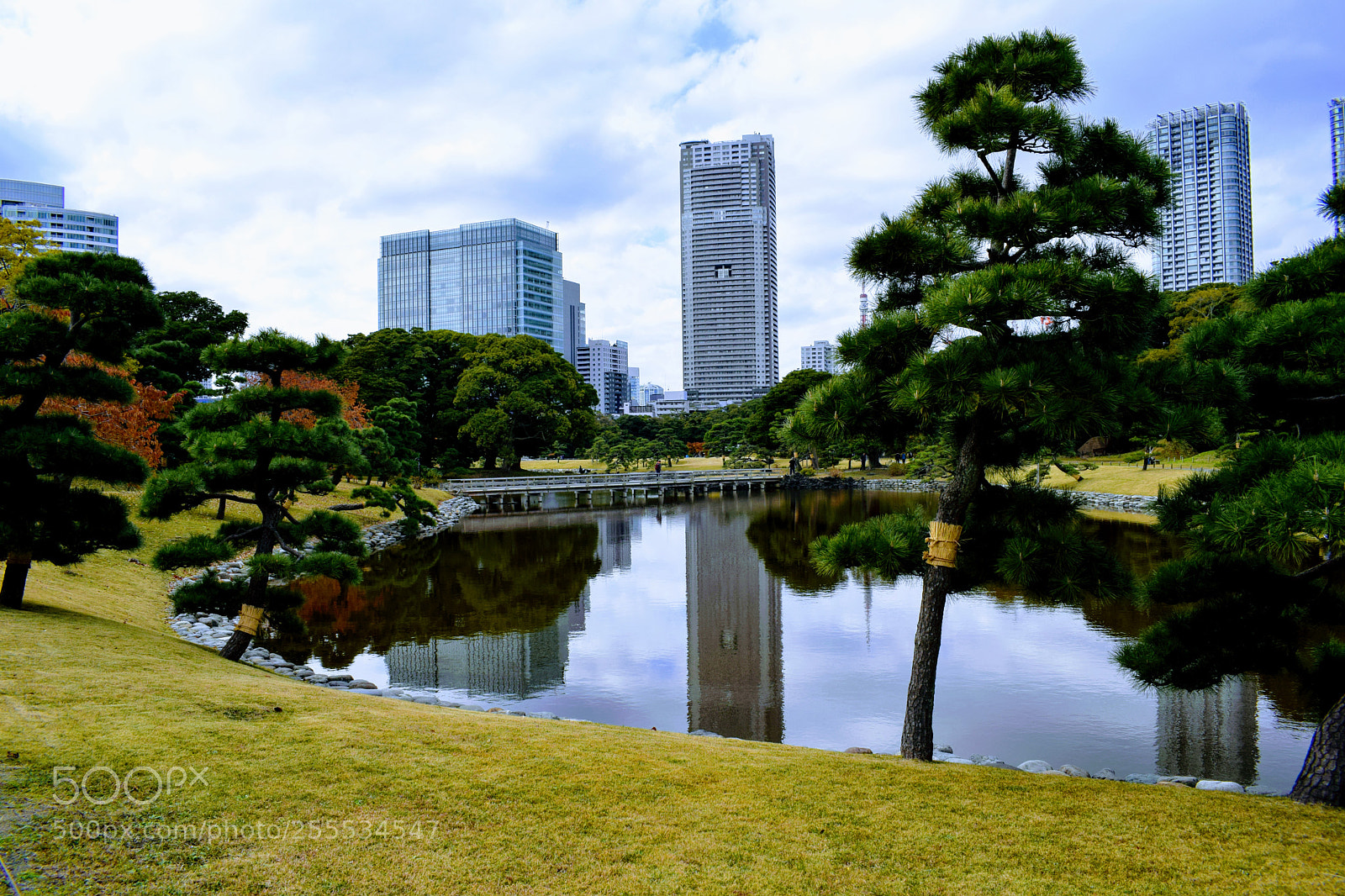 Nikon D3300 sample photo. Dsc photography