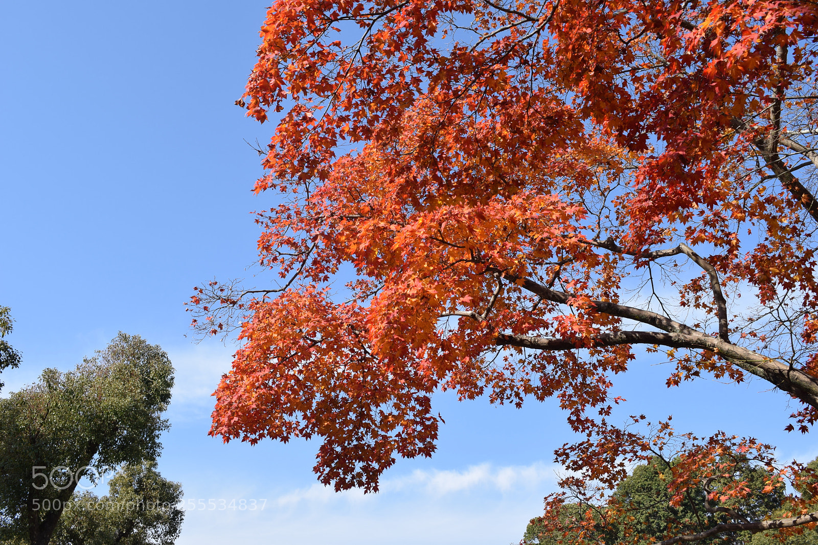 Nikon D3300 sample photo. Dsc photography