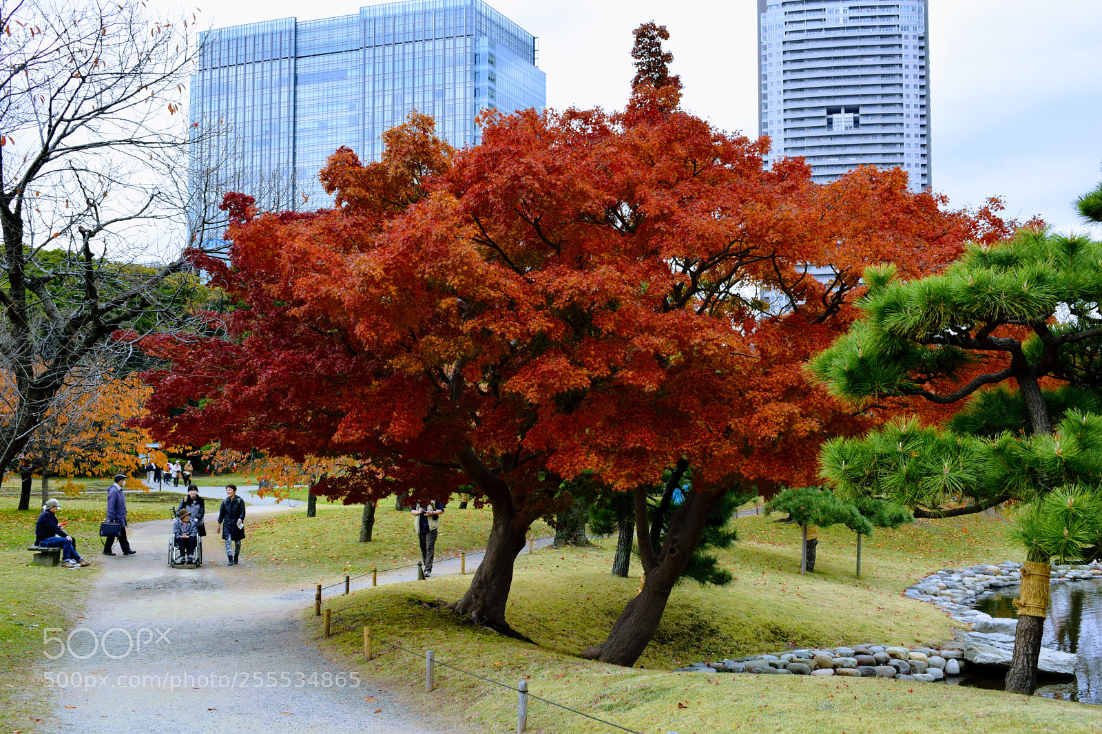 Nikon D3300 sample photo. Dsc photography